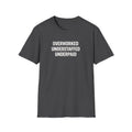 Overworked Underpaid