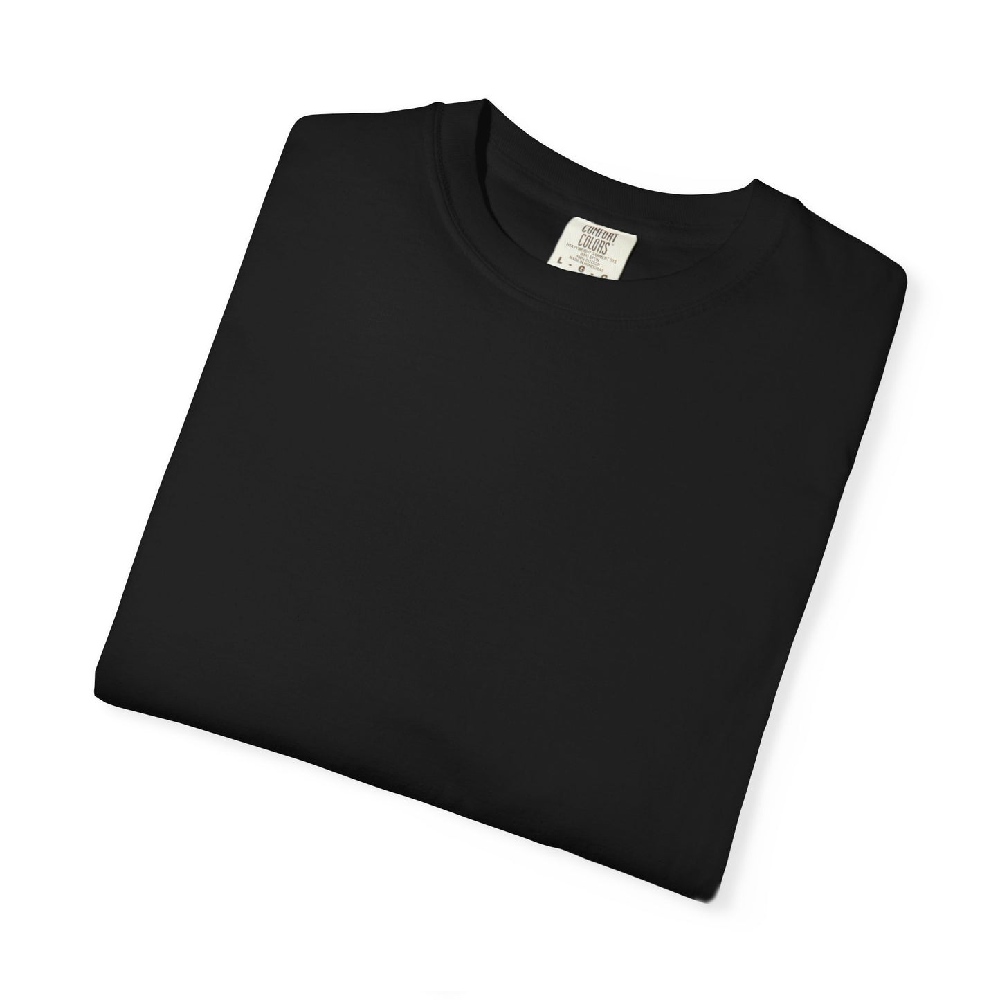 Home Health Caregiver T-Shirt — "Sassy Caregiver" Back Graphic